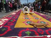 Beautiful example  the carpets that mark the procession route.: by sneaver, Views[379]