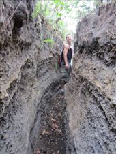 by sneaver, Views[425]