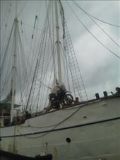 by sneaver, Views[371]