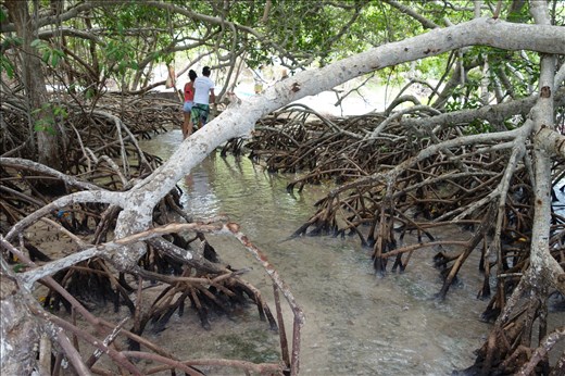 Der Zugang zu Casa de Carlos