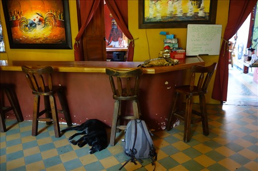 Ein sehr gutes und nettes Hostel, selbst die Haustiere genießen es!