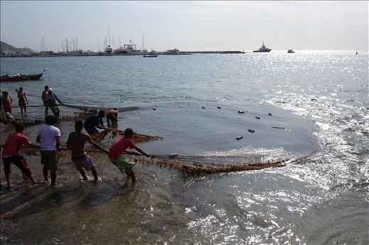 Da wird das Netz eingeholt... Alle helfen, ob Groß oder Klein