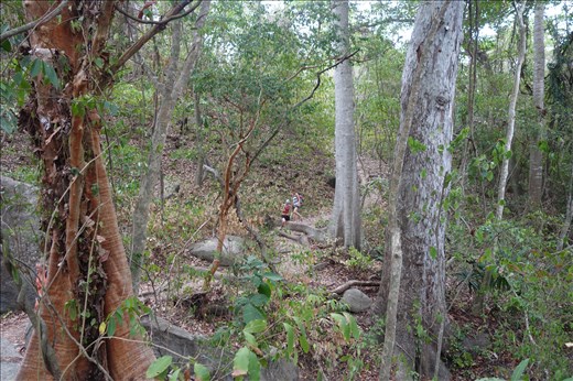 Der Weg durch den Jungle zum Pueblito