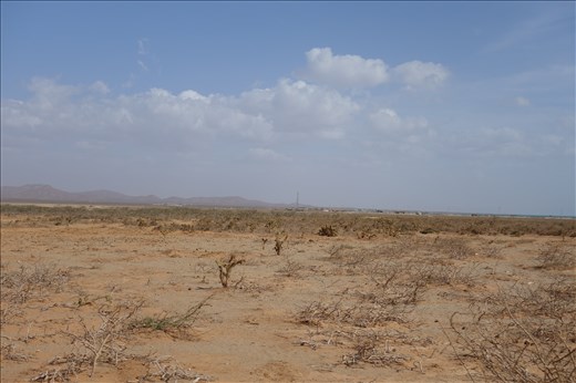Erster Wüsteneindruch - Auf dem Weg nach Cabo de la Vela mit dem Bus
