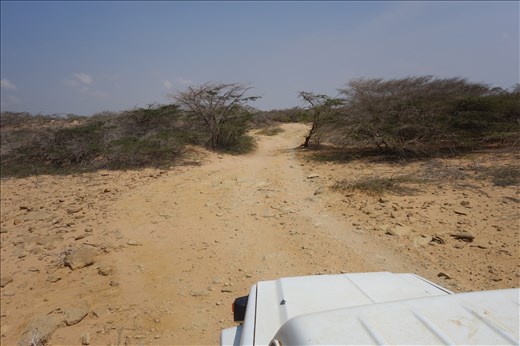 Zurück mit dem Jeep zu unserm Schlafplatz
