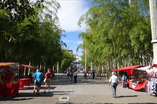 Eindrücke aus Medellin, im Hintergrund die Metro!