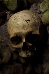 Down in the depths of the catacombs, one part cemetery and one part tourist attraction, we come face to face with the past and are reminded that our time is brief.: by snewman, Views[255]