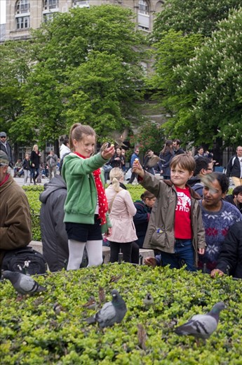 Paris is the city of lights, the city de l'amour.  It is also the city where children feeding the pigeons can teach us that each moment should be cherished as it is special and has a story to tell.