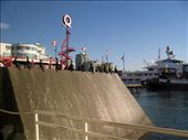 Crowded ferry station filed with boats, flags and birds on sunny afternoon.: by snezavuk, Views[345]