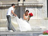 Wedding Bells: by snippets, Views[225]