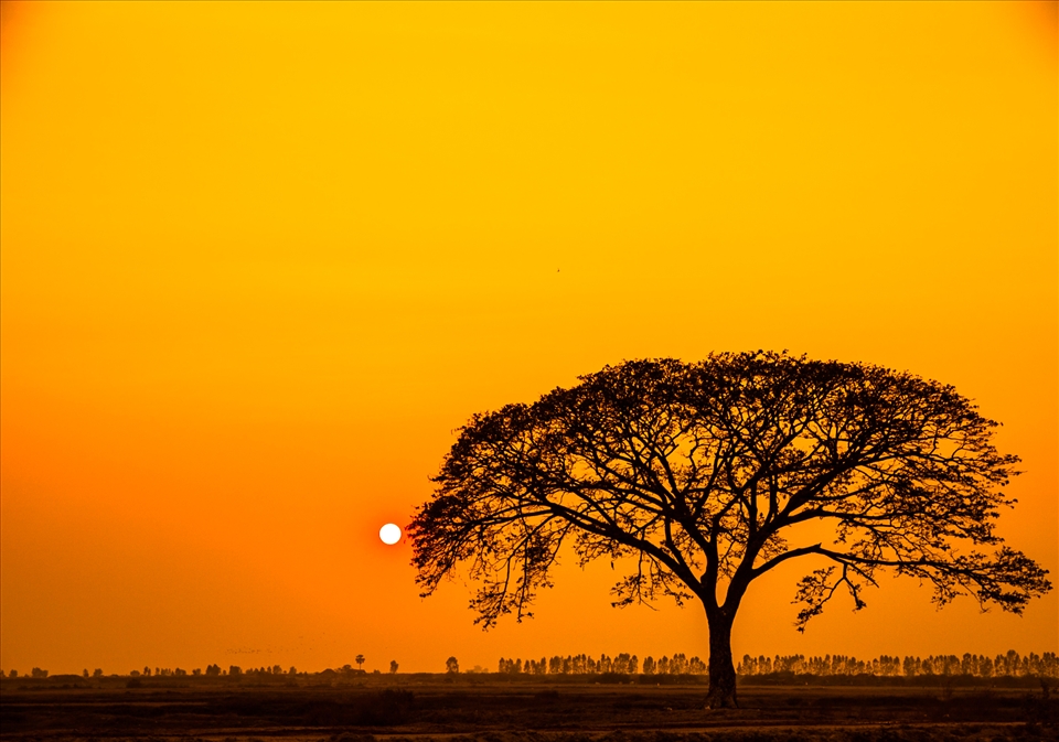 Somewhere in Cambodia 