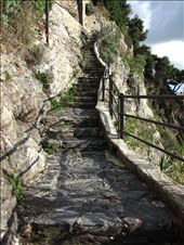 One of the numerous paths that will take you to another beautiful seaside town. : by sobertraveller, Views[234]