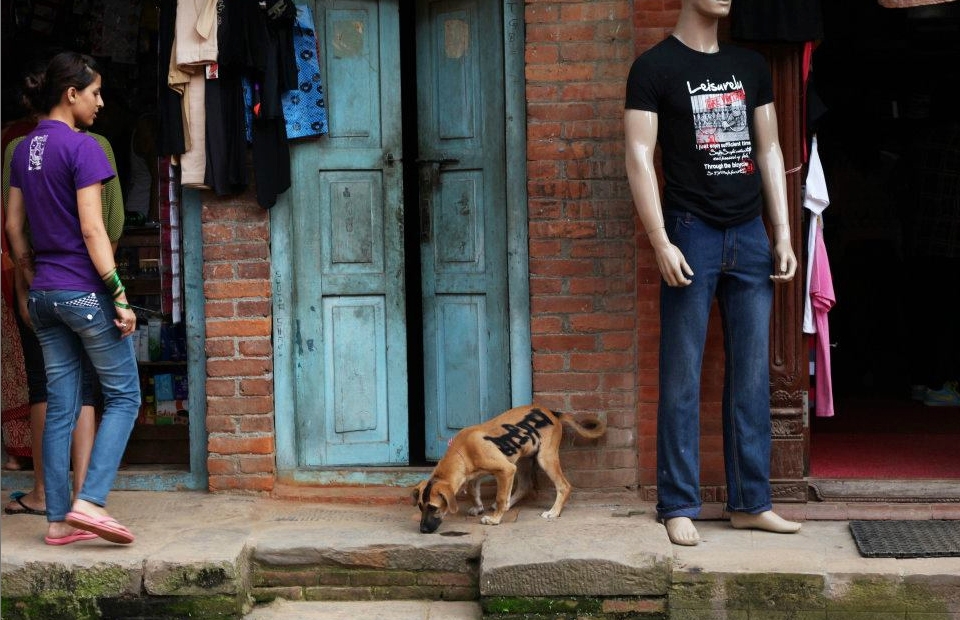 A graffitied dog roams the streets of Bhaktapur, bearing the words 