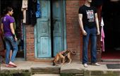 A graffitied dog roams the streets of Bhaktapur, bearing the words 