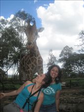 by sofarsoclose, Views[169]