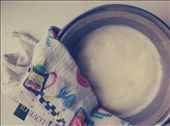 Step 1. How we prepare a predough for the rasstegai!: by sofiintrip, Views[218]