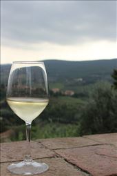 San Giminiano- a little wine never kill nobody, Vernaccia wine.: by sofinajournal, Views[246]