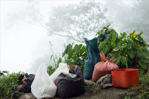 All the bags shown here are full of coffee and ready for transportation.  The contrast of foreground and background caught my eye.
