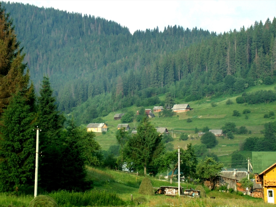 Carpathians mountains.Imagine,there is a separate world deep in the mountains.
