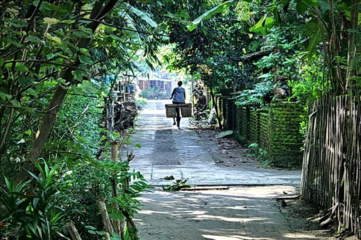 still early in the MORNING, yet she determinely going on an old bicycle to sell live stocks and vegetables in GAWOK MARKET - SOLO