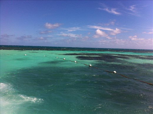 So many shades to dive into!