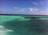 So many shades to dive into!: by solublereader, Views[108]