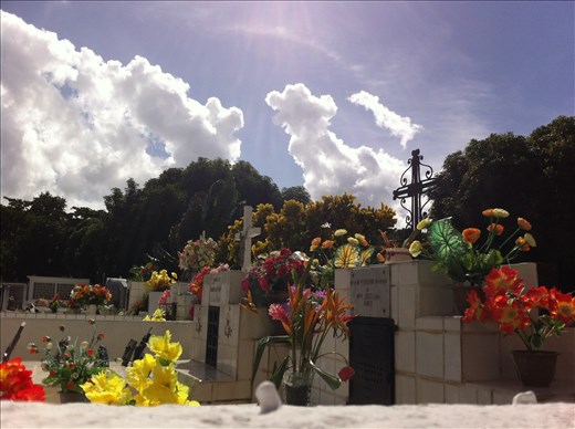 Homes of the dead/Martinique