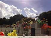 Homes of the dead/Martinique: by solublereader, Views[174]