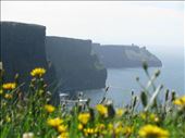 Cliffs of Moher/Dingle Peninsula: by solublereader, Views[226]
