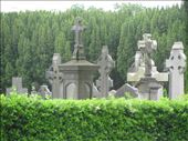 Cemetery Tour: by solublereader, Views[181]