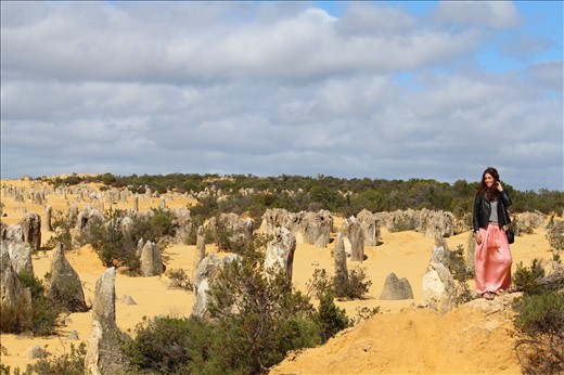This picture was made in the Pinnacles (western Australia)
