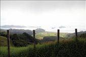 The land of the long white cloud, the beautiful Bay of Islands, Northland NZ: by sonyalee, Views[203]
