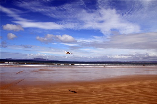 Expansive sands of ninety mile beach at sunset