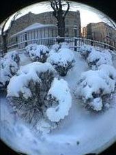 Clumps of bushes down below; a lucky glimpse of sunset in winter.: by sooremabine, Views[265]