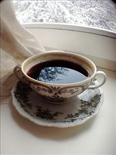 Comforting warm coffee by daylight & the window with trees: by sooremabine, Views[544]
