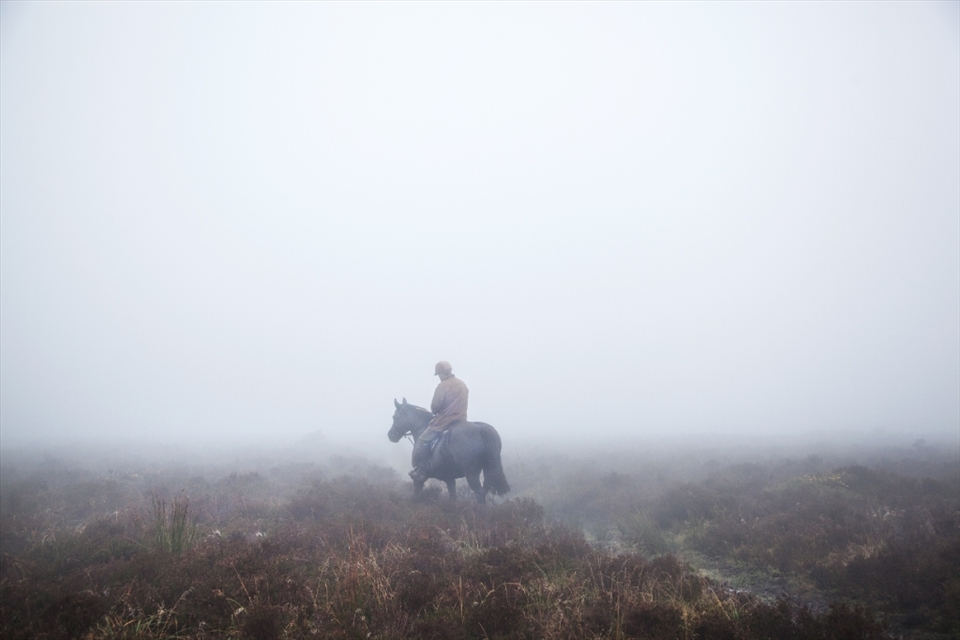 Wild herds of Exmoor Ponies are rounded-up once a year. This project explores the communities who live in this isolated corner of Britain, and the lengths they go to maintain the pure-breeding of these endangered wild animals. David Wallace is the inherited owner of the 'Anchor Herd' and is in charge of maintaining the welfare of it's bloodlines.