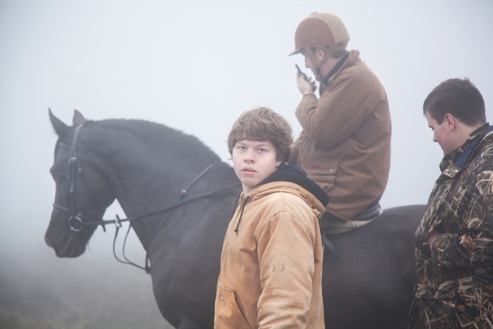 David Wallace and his son search through the fog for their herd. They comb the 10 square mile stretch on horseback, quadbike and on foot until they find and can push the wild ponies towards their farm.