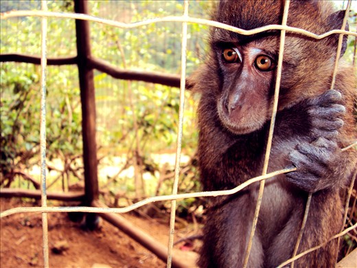 Backstage: A performer waits for costume and make up. 