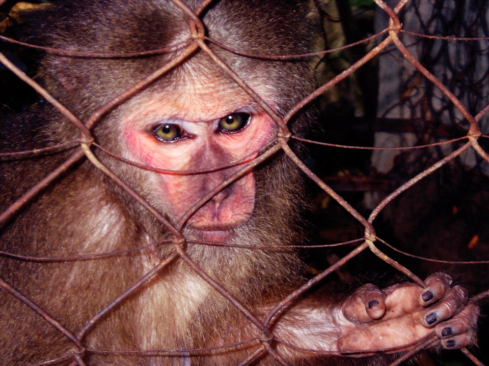 Backstage: A performer resting after the show. 