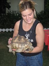 by sophiew, Views[184]