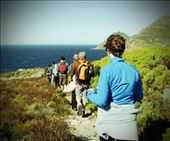 by sophiew, Views[238]