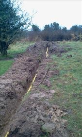 by sophiew, Views[261]