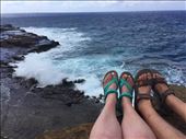 by sorkoo, Views[341]