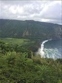 by sorkoo, Views[510]