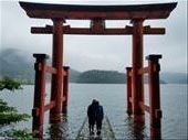 by sorkoo, Views[805]