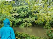 by sorkoo, Views[327]