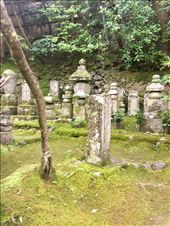 by sorkoo, Views[332]