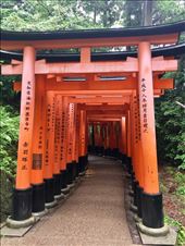 by sorkoo, Views[355]