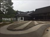 by sorkoo, Views[284]