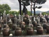 by sorkoo, Views[229]